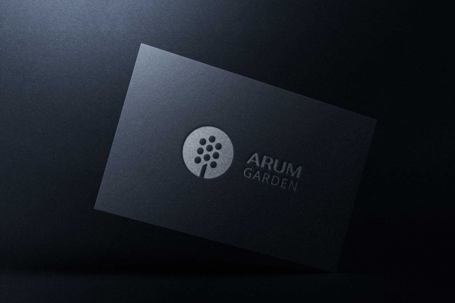 Fekete-névjegy-arum-garden-borito